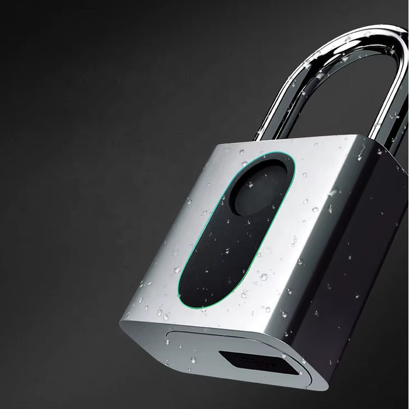 Outdoor Large Size Safety Custom Smart Padlock Combination Biometric Fingerprint Padlock