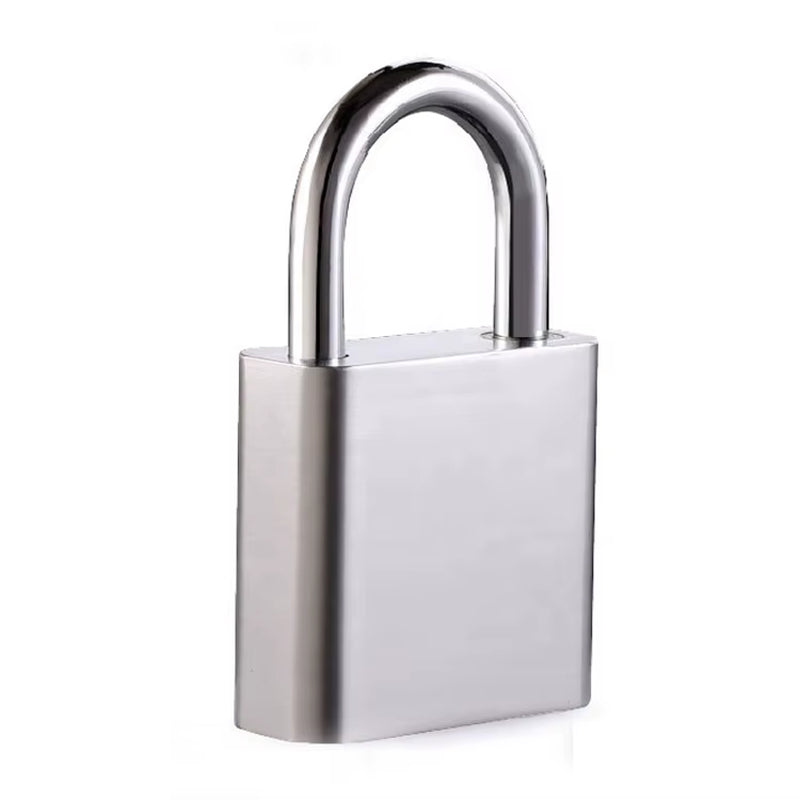 Outdoor Large Size Safety Custom Smart Padlock Combination Biometric Fingerprint Padlock
